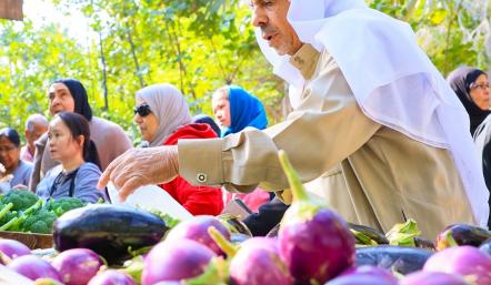 الطماطم تتصدر المنتجات المحلية في سوق المزارعين بإجمالي 212 طنًا من الخضروات حتى الأسبوع التاسع